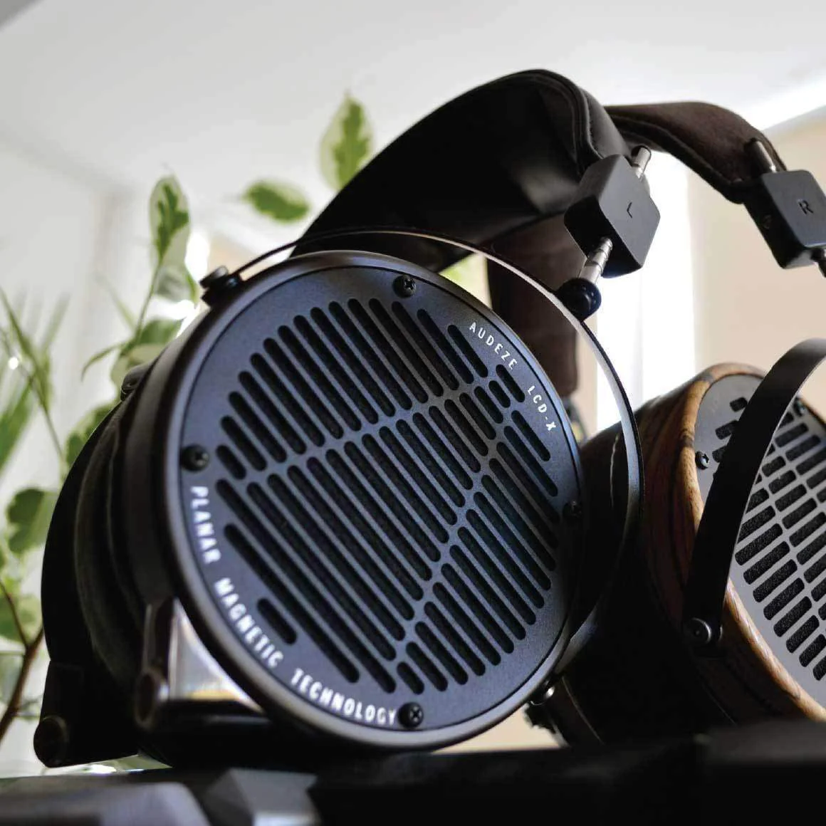 Audeze - LCD-X (Music Creator Special) - Image 5