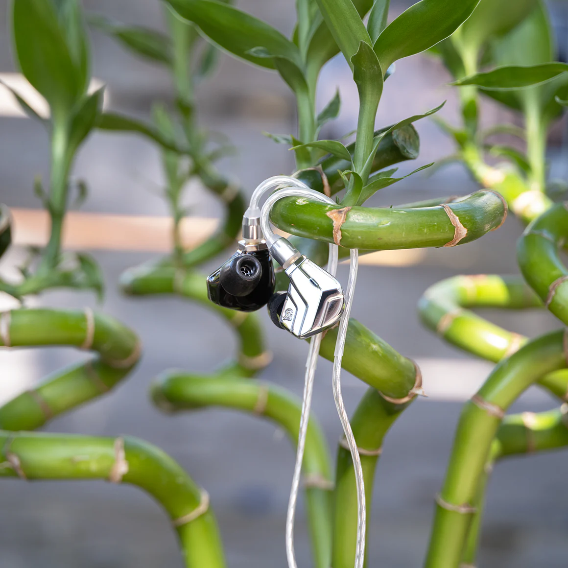 Campfire Audio - Astrolith - Image 15