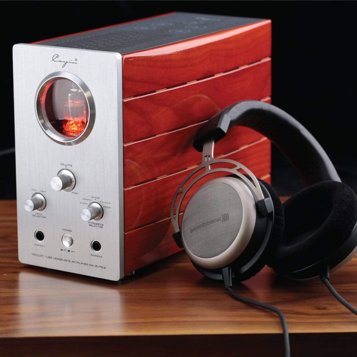 Cayin - HA-1A MK2 - Image 9