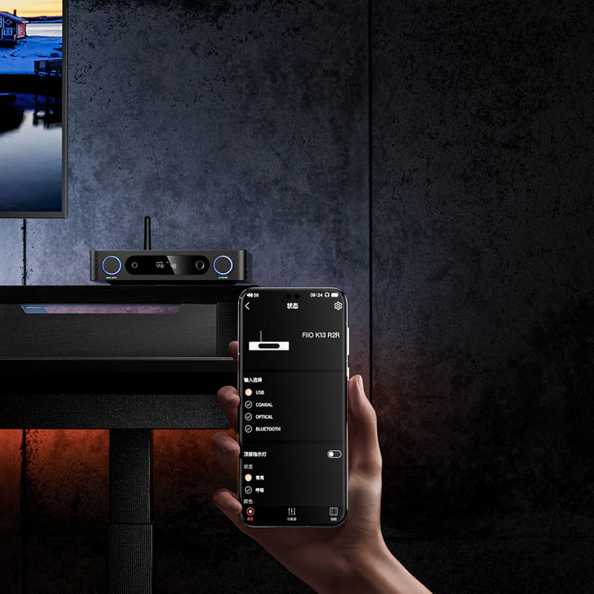 FiiO - K13 R2R - Image 6