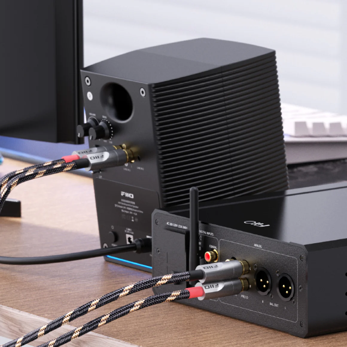 FiiO - LR-RCA4 - Image 27