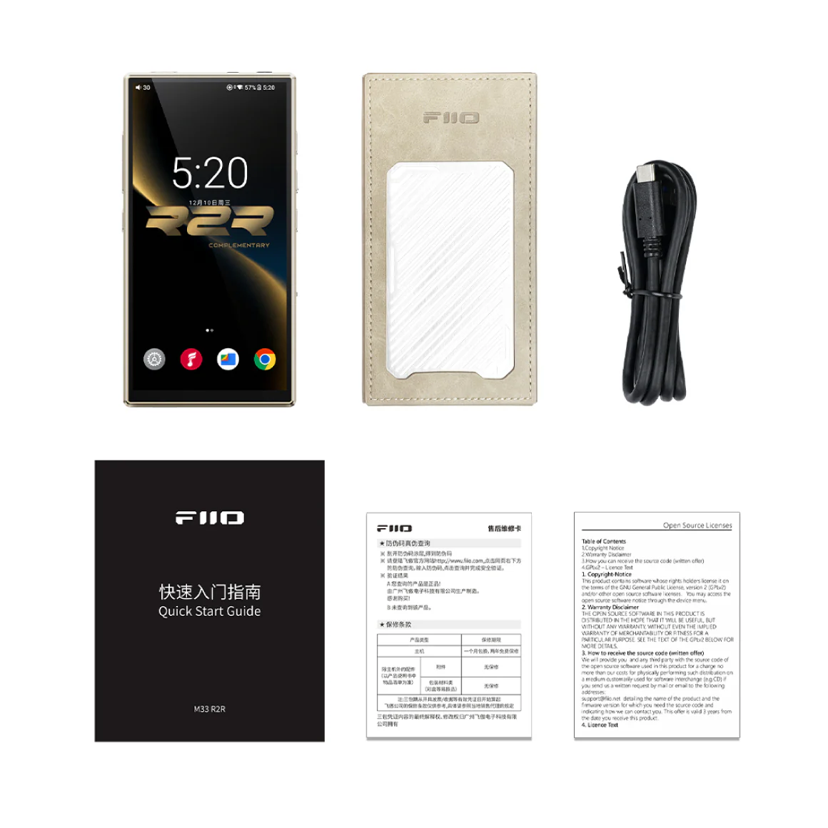 FiiO - M33 R2R - Image 14