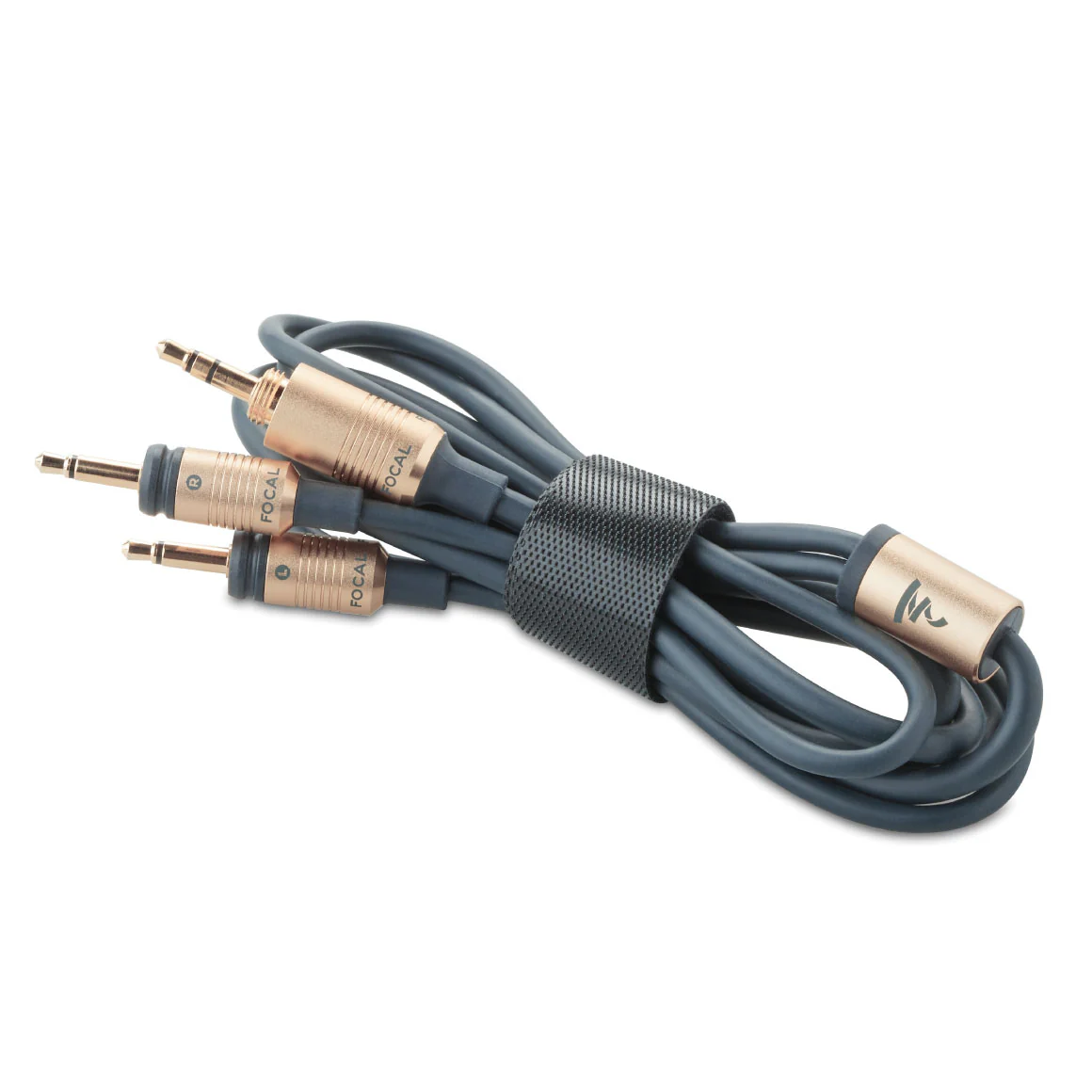 Focal - Celestee - Image 9
