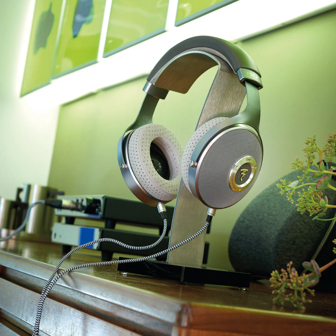 Focal - Clear - Image 20