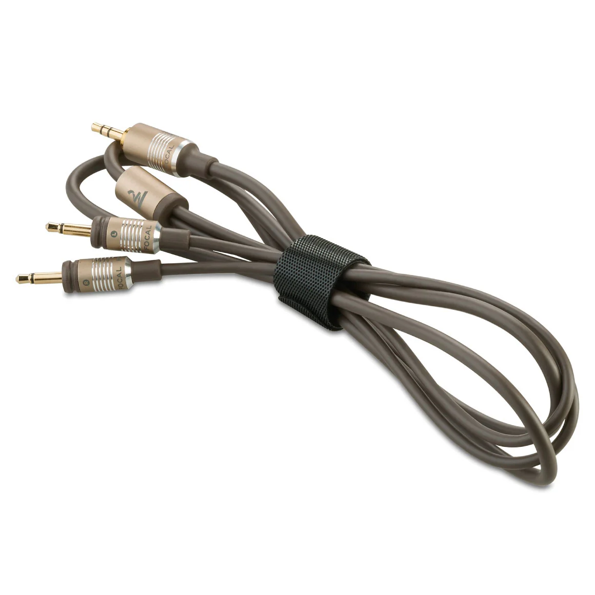 Focal - Clear MG - Image 9