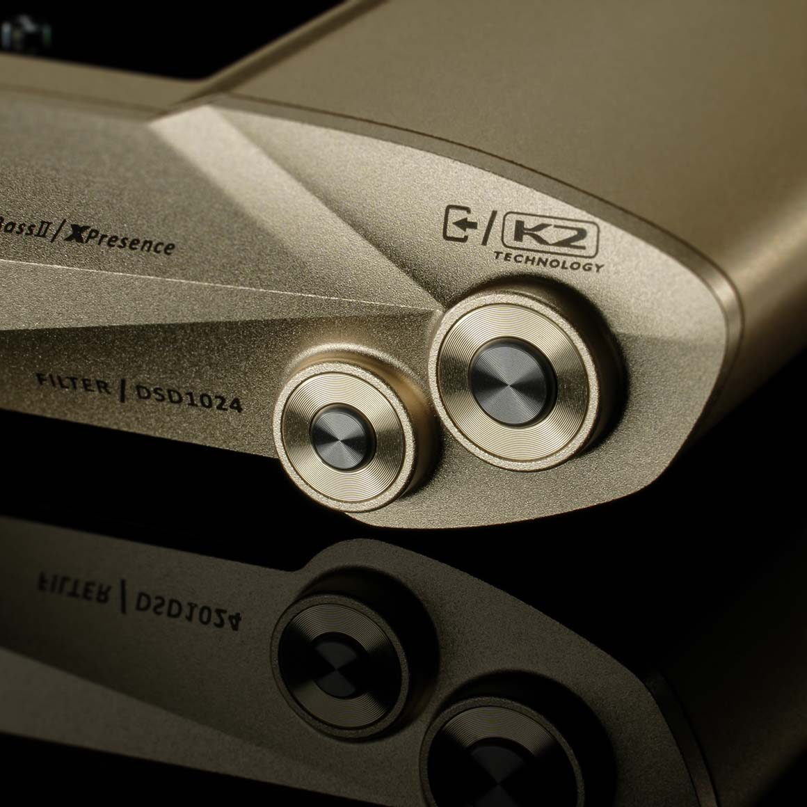iFi Audio - iDSD Valkyrie - Image 13