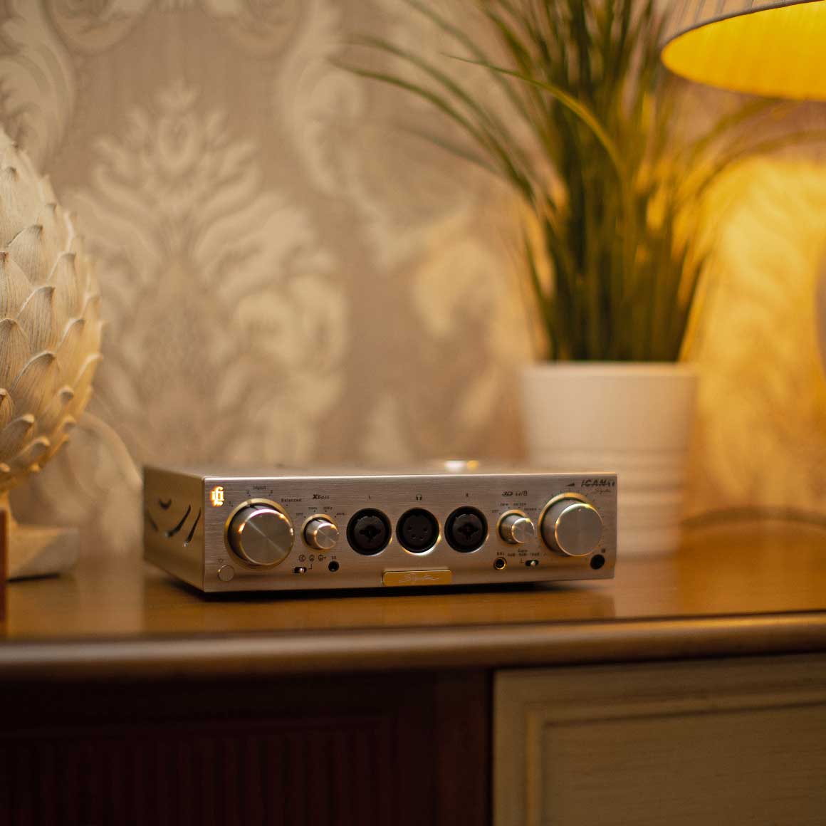 iFi Audio - Pro iCAN Signature - Image 10