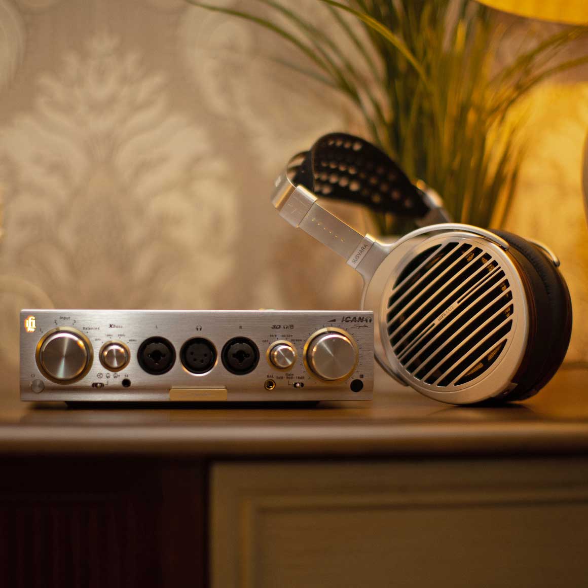 iFi Audio - Pro iCAN Signature - Image 11