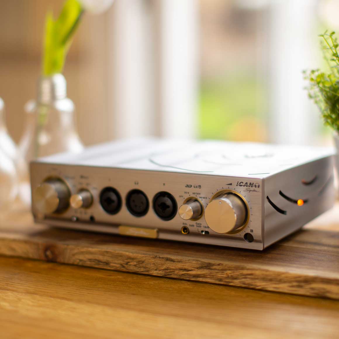 iFi Audio - Pro iCAN Signature - Image 12