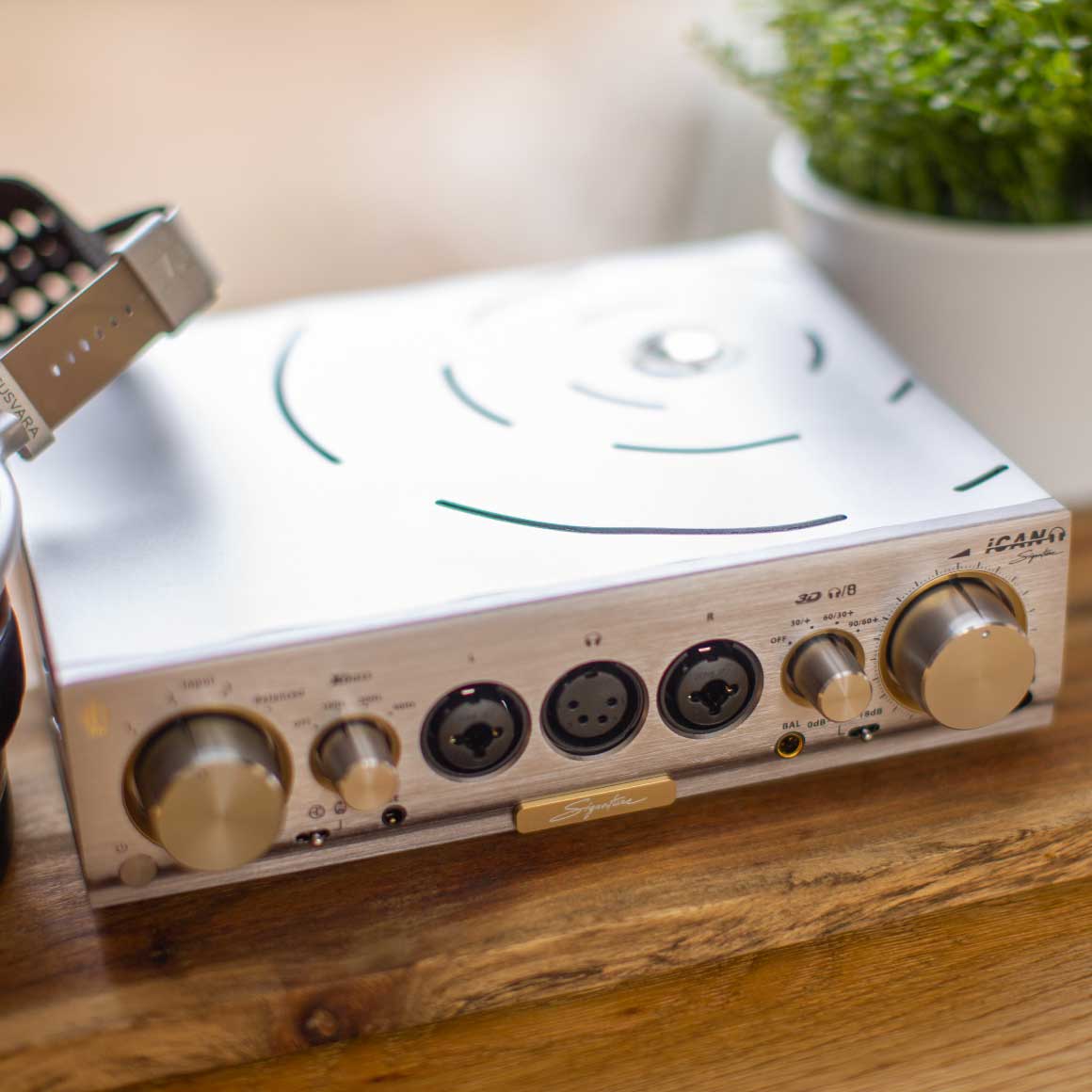 iFi Audio - Pro iCAN Signature - Image 13