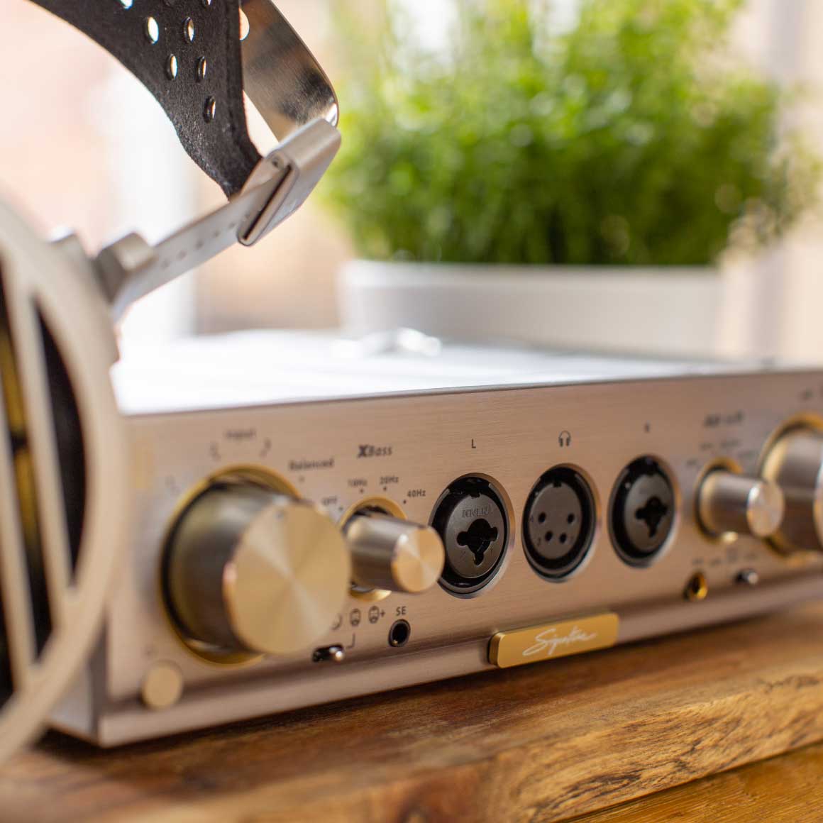 iFi Audio - Pro iCAN Signature - Image 9