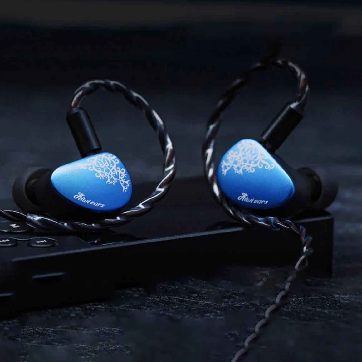 Kiwi Ears - Cadenza II - Image 23