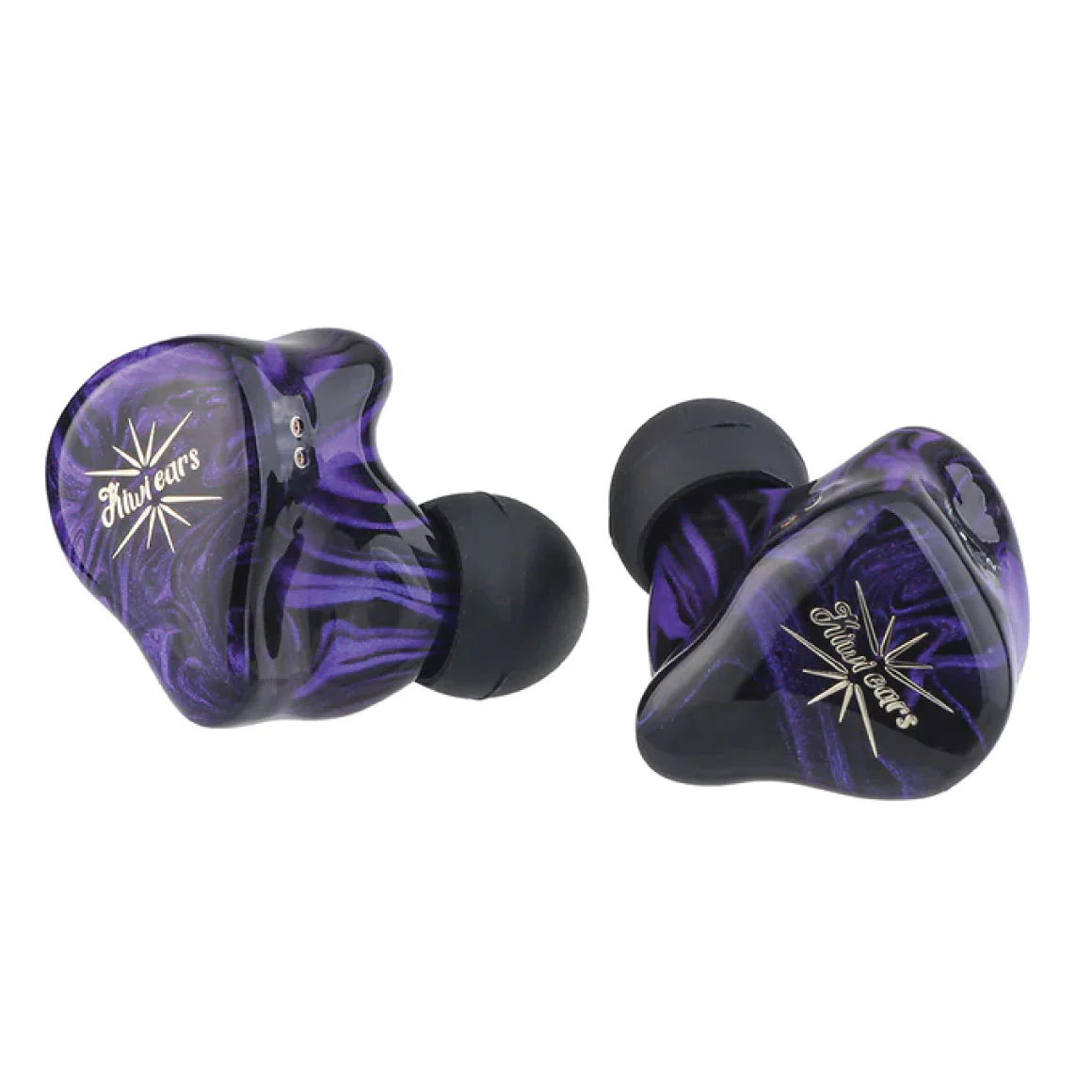 Kiwi Ears - Quartet - Image 5