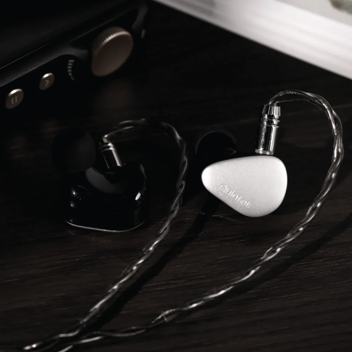 Kiwi Ears - Quintet - Image 10