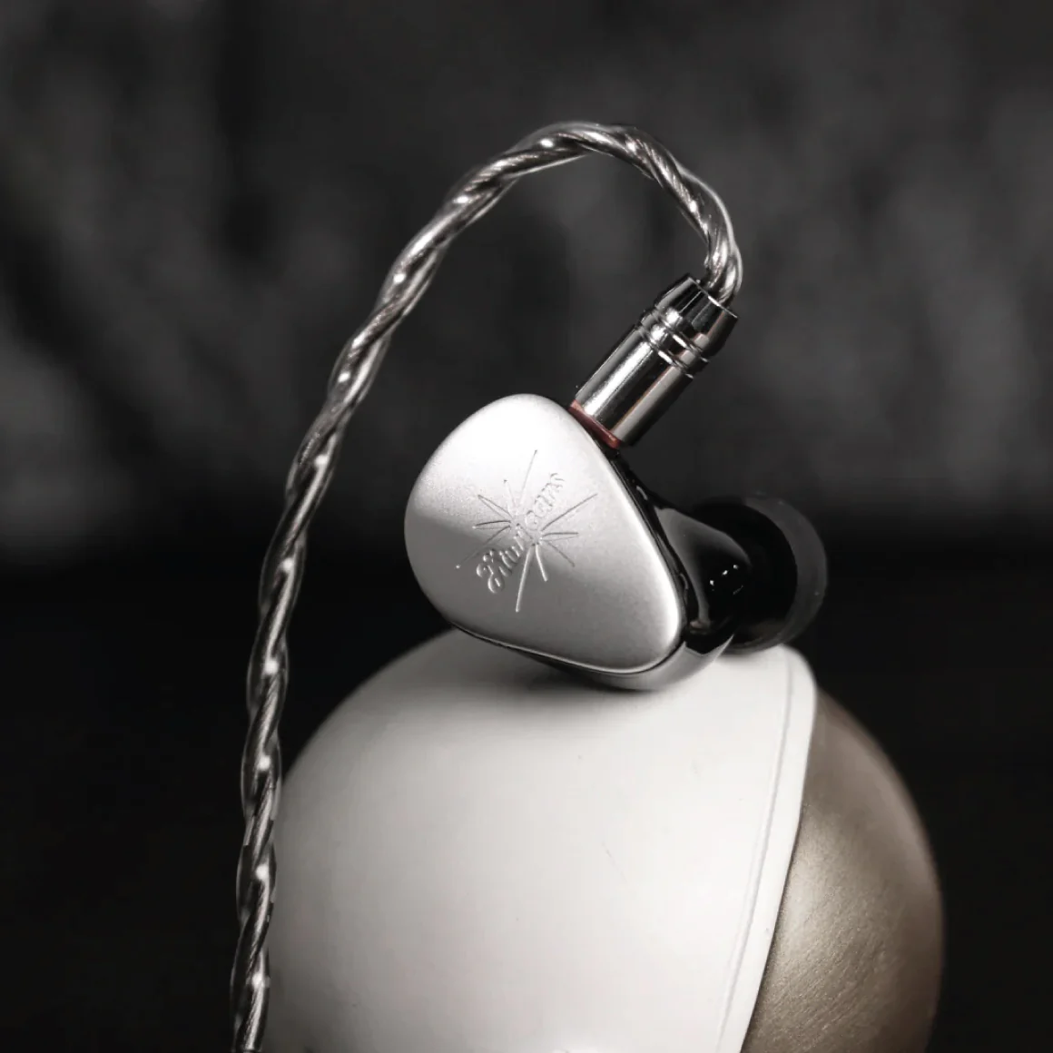 Kiwi Ears - Quintet - Image 12