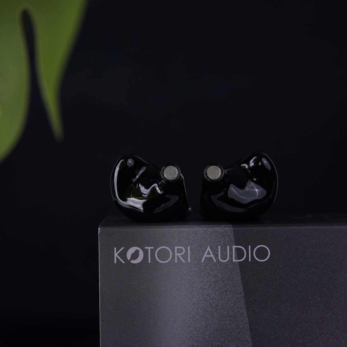 Kotori Audio - Zephyr - Image 8