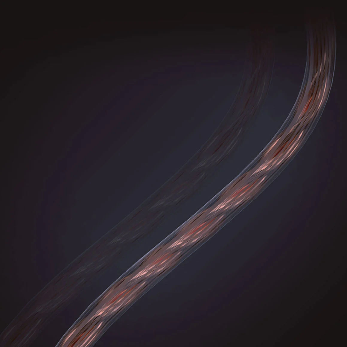 KZ - ZVX - Image 9