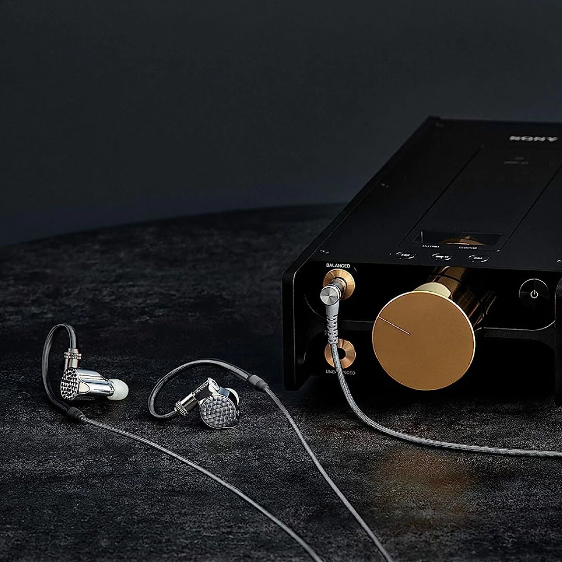 Sony - IER-Z1R - Image 10