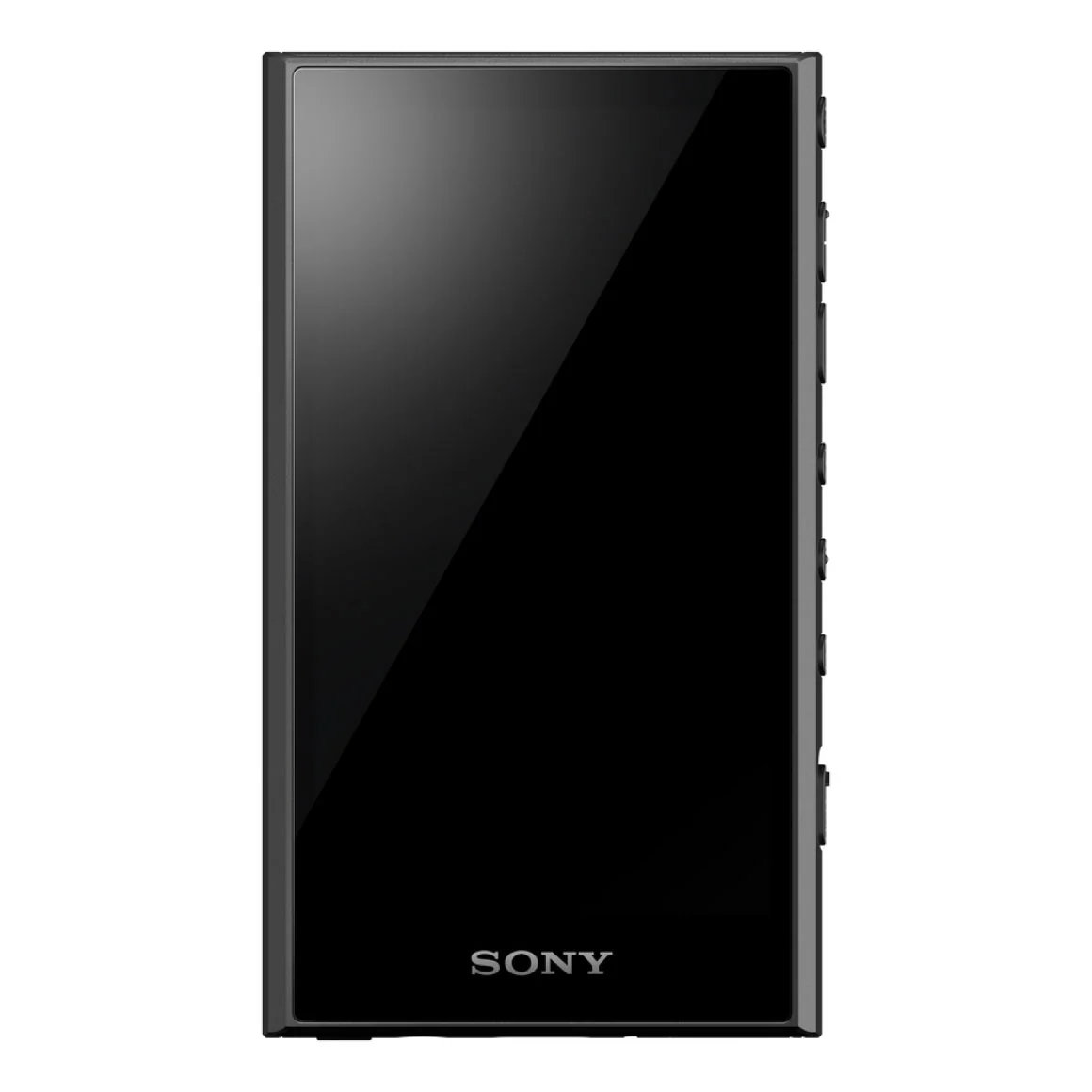 Sony - NW-A306 - Image 6