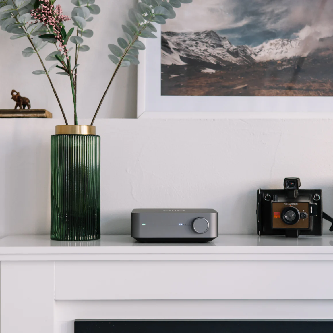 WiiM - Amp / Amp Pro - Image 11