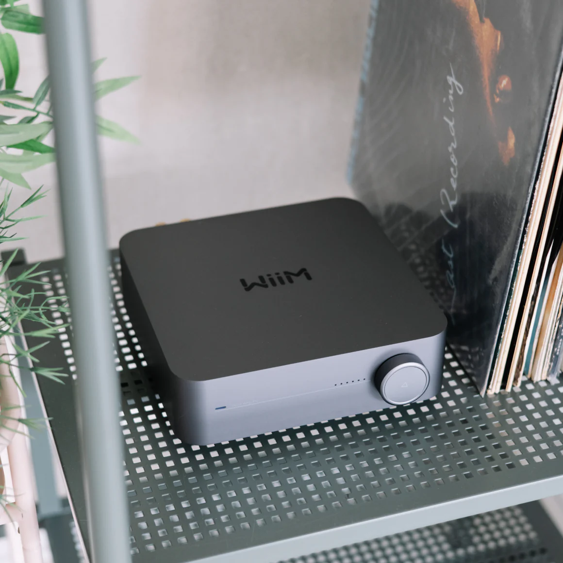 WiiM - Amp / Amp Pro - Image 20