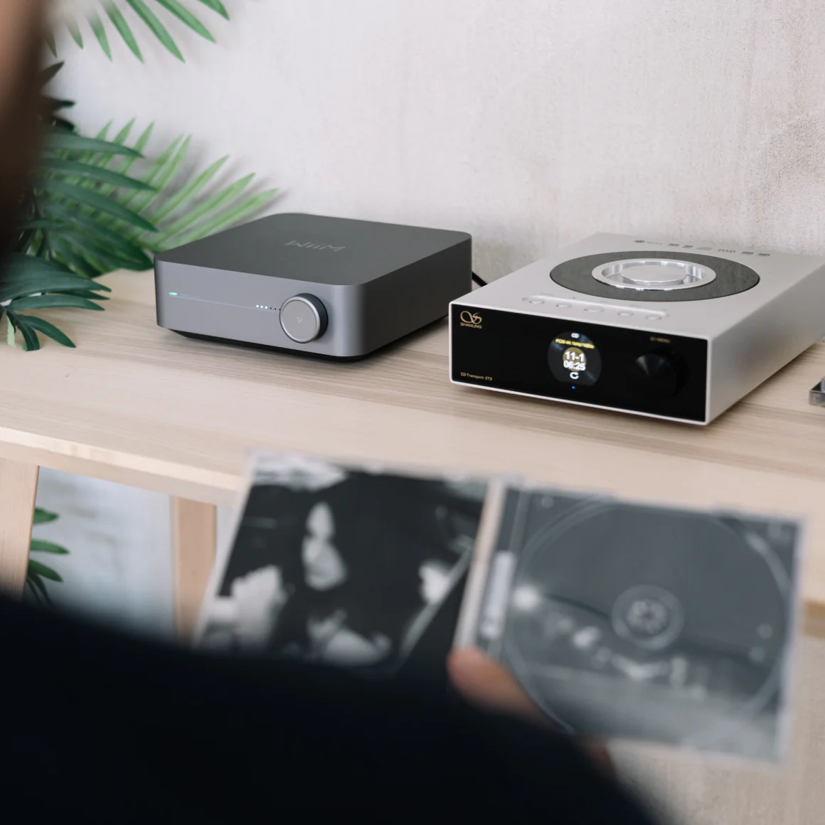 WiiM - Amp / Amp Pro - Image 41