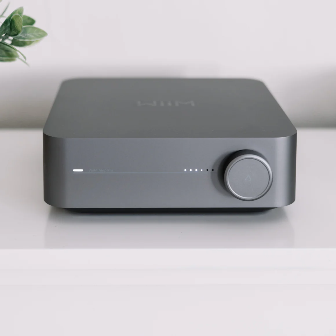WiiM - Amp / Amp Pro - Image 7