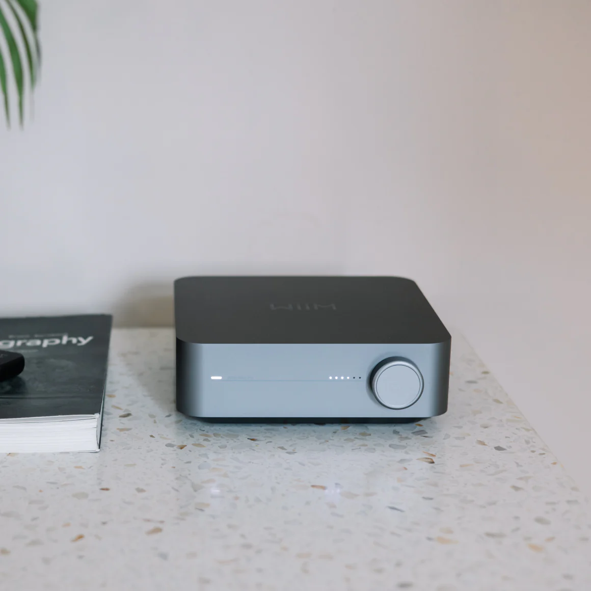 WiiM - Amp / Amp Pro - Image 8