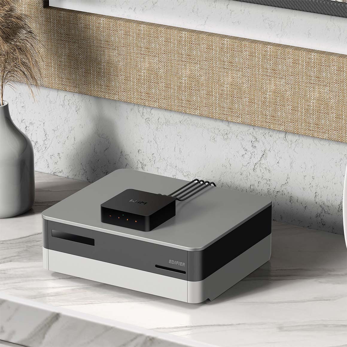 WiiM - Pro / Pro Plus - Image 9